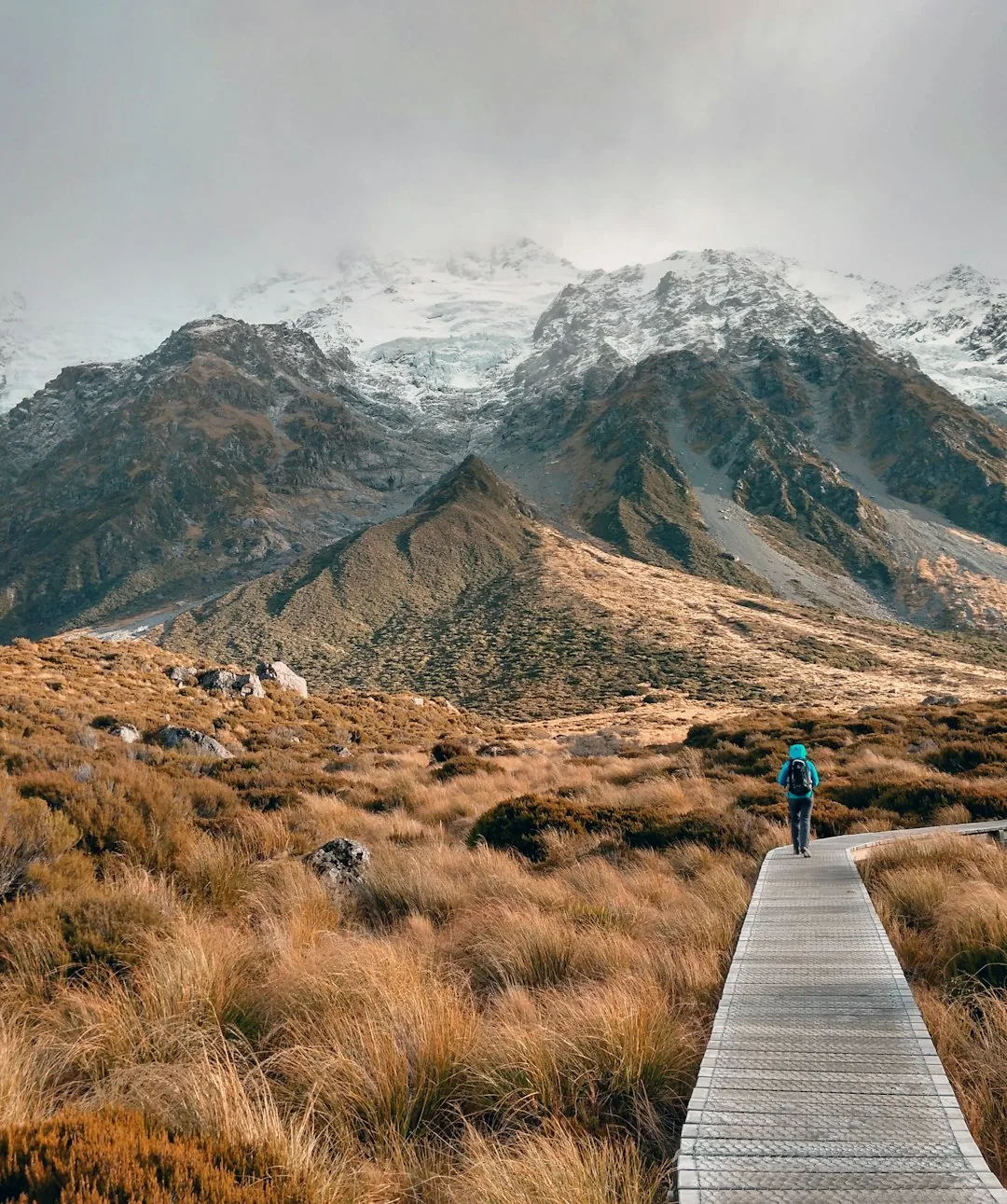 A SilverPineway guide pausing on a wooden boardwalk to point out a ridge of pines
